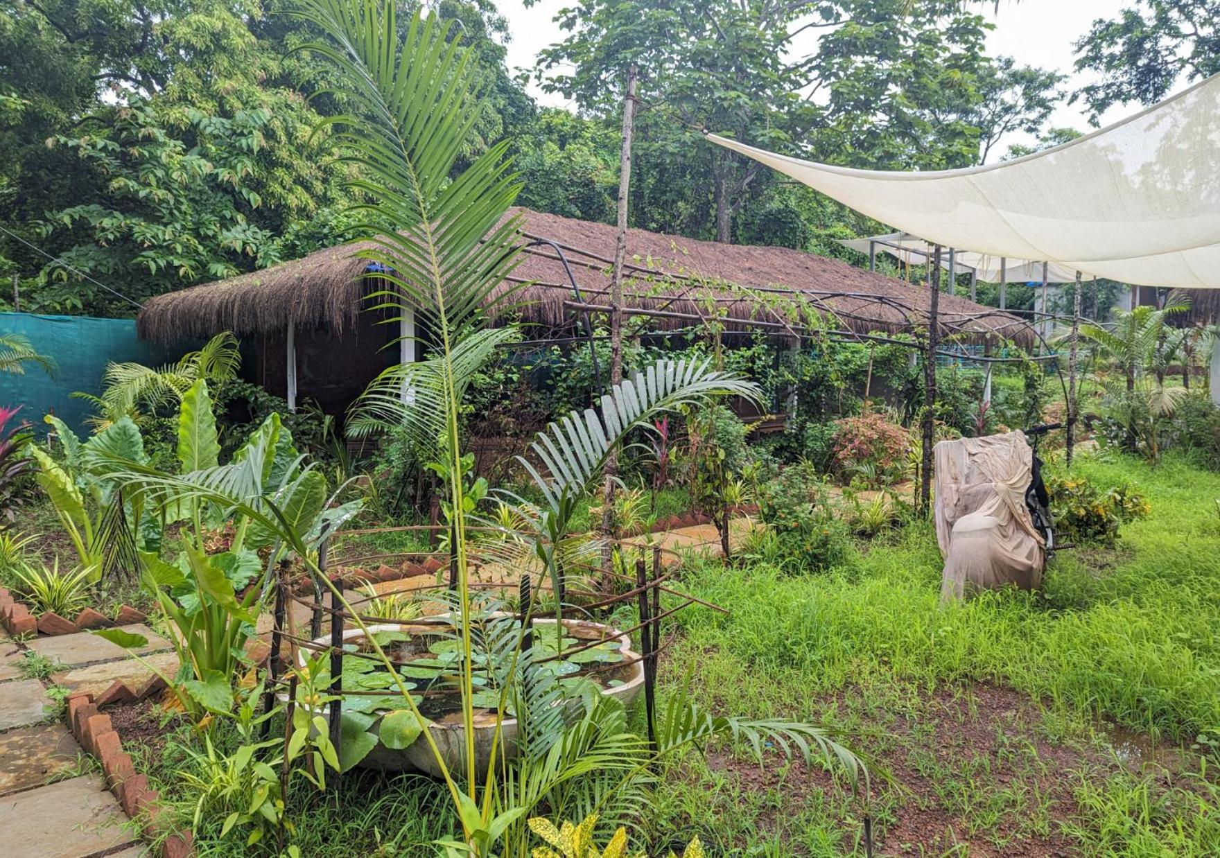Hippie Paws Hotel Mandrem Exterior photo